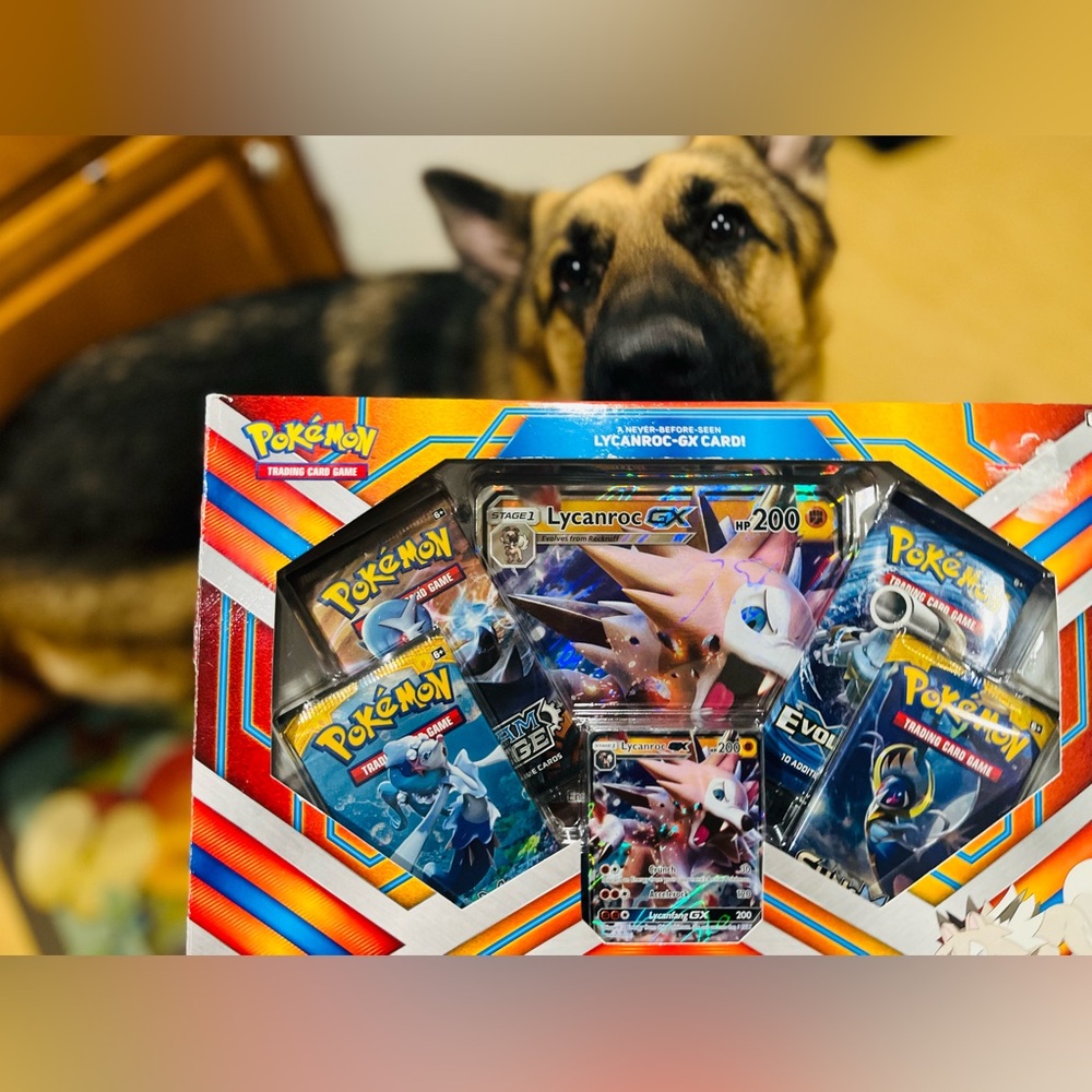 Pokemon TCG 2017 Lycanroc GX Box